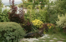 1745156512257.png 1745156512257.png