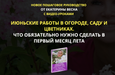 1745156759306.png 1745156759306.png