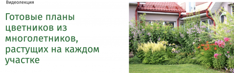 1745161687275.png 1745161687275.png