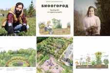 1745163008095.png 1745163008095.png