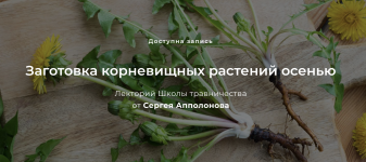 1745172562700.png 1745172562700.png