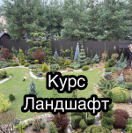 1745174899245.png 1745174899245.png