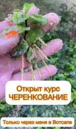 1745212319233.png 1745212319233.png