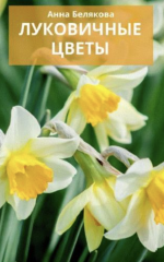 1745243241344.png 1745243241344.png