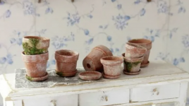 1745555437831.png 1745555437831.png