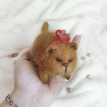 1745600379335.png 1745600379335.png