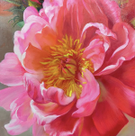 1746532495014.png 1746532495014.png