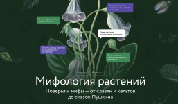 1746883997121.png 1746883997121.png