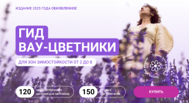 1747201606317.png 1747201606317.png