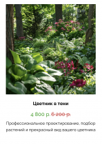 1747763745241.png 1747763745241.png