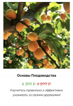 1747764563215.png 1747764563215.png