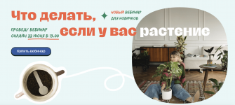 1748195630790.png 1748195630790.png