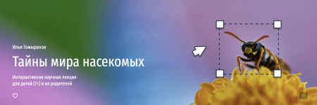 1748927627932.png 1748927627932.png