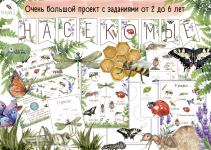 1750318501022.png 1750318501022.png