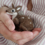 1751519193884.png 1751519193884.png