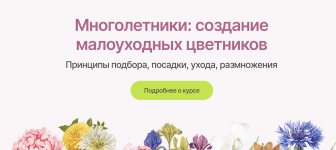 1751541082763.png 1751541082763.png