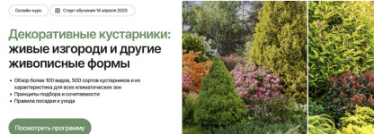 1751541531201.png 1751541531201.png