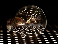 1753537546098.png 1753537546098.png