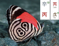 1756356779122.png 1756356779122.png