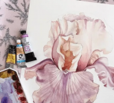 1728731110167.png 1728731110167.png