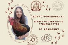 1757487651045.png 1757487651045.png