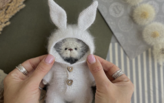 1758778951961.png 1758778951961.png