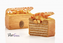 1758779462862.png 1758779462862.png