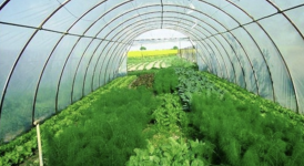 1761739423852.png 1761739423852.png