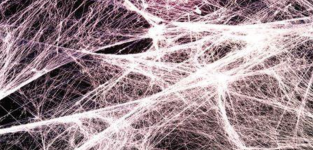 1762509306899.png 1762509306899.png