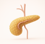 1764324652158.png 1764324652158.png