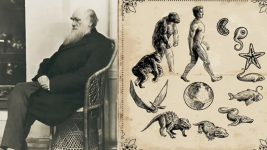 1764352794870.png 1764352794870.png