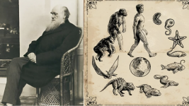 1764353028265.png 1764353028265.png