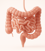 1764442314701.png 1764442314701.png