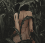 1764615611017.png 1764615611017.png