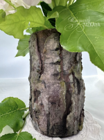 1765549723152.png 1765549723152.png