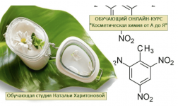 1767988563332.png 1767988563332.png