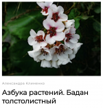 1768189412194.png 1768189412194.png