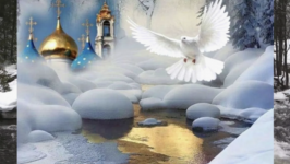 1769002944765.png 1769002944765.png