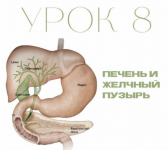 1769276073301.png 1769276073301.png