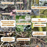 1769278667766.png 1769278667766.png