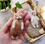 1770955286074.png 1770955286074.png