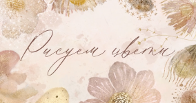 1772037180912.png 1772037180912.png