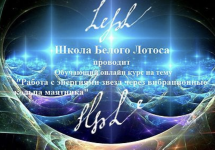 1774411067066.png 1774411067066.png