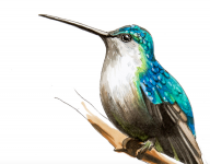 1728742781996.png 1728742781996.png