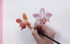 1728926168500.png 1728926168500.png