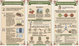 Снимок экрана 2026-04-12 в 21.03.03.png