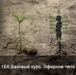 1777804518870.png