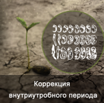 1777805557852.png