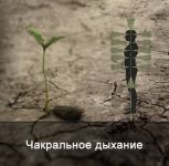 1777807455313.png