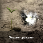 1778007027034.png